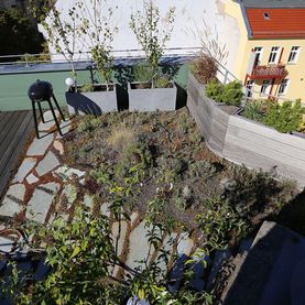 Dachaufstockung Chodowieckistraße